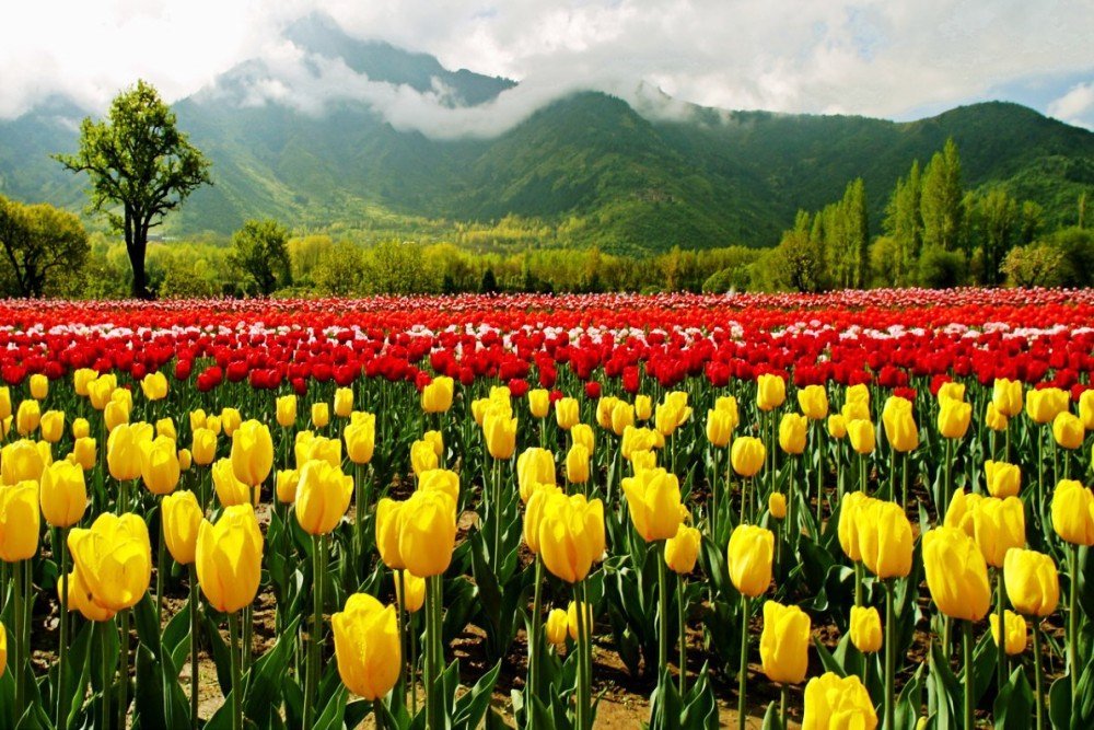 Tripora Holidays Short & Adventure Trip