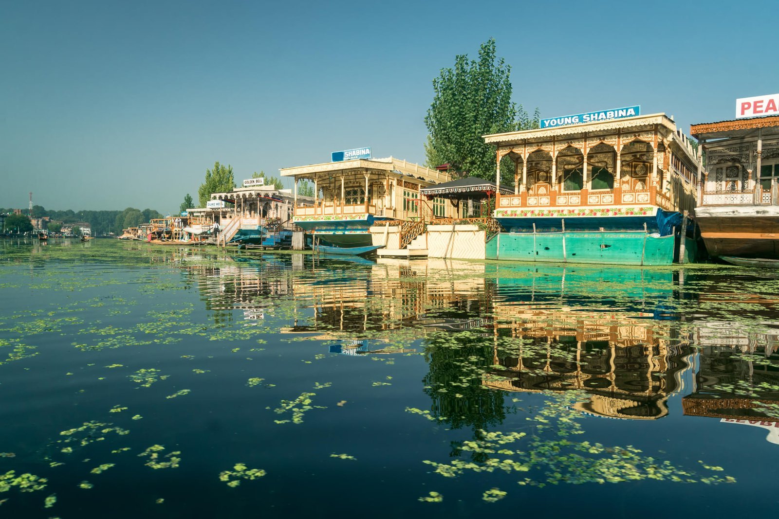 Kashmir Ladakh Manali Tour Package